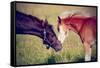 Portrait of Two Foals.-AZALIA-Framed Stretched Canvas