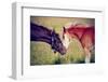 Portrait of Two Foals.-AZALIA-Framed Photographic Print