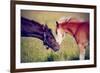 Portrait of Two Foals.-AZALIA-Framed Photographic Print