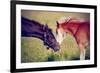 Portrait of Two Foals.-AZALIA-Framed Photographic Print