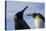 Portrait of two King penguins, Aptenodytes patagonica.-Sergio Pitamitz-Stretched Canvas