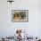 Portrait of two Mastiffs, California, USA-Zandria Muench Beraldo-Framed Photographic Print displayed on a wall