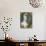Portrait of Veiled Woman-Louis Michel Van Loo-Giclee Print displayed on a wall