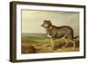 Portrait of 'Vic', a Spanish Bloodhound, C.1818-20-James Ward-Framed Giclee Print