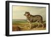 Portrait of 'Vic', a Spanish Bloodhound, C.1818-20-James Ward-Framed Giclee Print