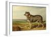 Portrait of 'Vic', a Spanish Bloodhound, C.1818-20-James Ward-Framed Giclee Print