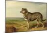 Portrait of 'Vic', a Spanish Bloodhound, C.1818-20-James Ward-Mounted Giclee Print