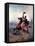 Portrait of Victor Emmanuel II King of Sardinia and Italy-P. Litta-Framed Stretched Canvas