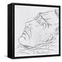 Portrait of Vincent Van Gogh on His Deathbed, 29 July 1890-Paul Gachet-Framed Stretched Canvas