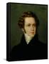 Portrait of Vincenzo Bellini-null-Framed Stretched Canvas