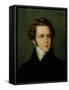 Portrait of Vincenzo Bellini-null-Framed Stretched Canvas