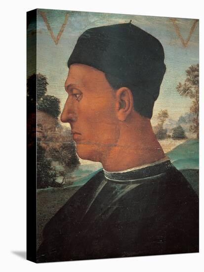 Portrait of Vitellozzo Vitelli-Luca Signorelli-Stretched Canvas