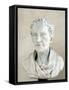 Portrait of Voltaire-Peter Anton Von Verschaffelt-Framed Stretched Canvas