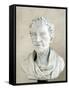 Portrait of Voltaire-Peter Anton Von Verschaffelt-Framed Stretched Canvas