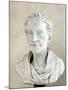 Portrait of Voltaire-Peter Anton Von Verschaffelt-Mounted Photographic Print