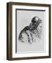 Portrait of Voltaire-Jean Huber-Framed Giclee Print