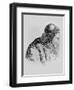 Portrait of Voltaire-Jean Huber-Framed Giclee Print