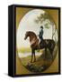 Portrait of Warren Hastings, on His Celebrated Arabian, Wearing a Blue Coat and Grey Breeches-George Stubbs-Framed Stretched Canvas