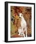 Portrait of Whippet Chosen Best in Show at the 88th Annual Westminster Kennel Club Dog Show-Nina Leen-Framed Premium Photographic Print