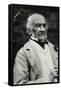 Portrait of William Ewart Gladstone (1809-1898), British statesman-French Photographer-Framed Stretched Canvas