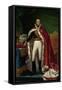 Portrait of William I, 1819-Joseph Paelinck-Framed Stretched Canvas