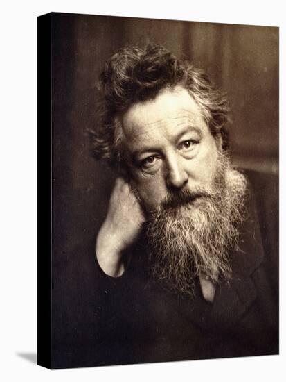 Portrait of William Morris, 1886-null-Stretched Canvas