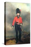 Portrait of William Pitt, Earl Amherst of Arracan (1773-1857) in the Uniform of the St. James's…-Arthur William Devis-Stretched Canvas