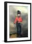 Portrait of William Pitt, Earl Amherst of Arracan (1773-1857) in the Uniform of the St. James's…-Arthur William Devis-Framed Giclee Print