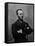 Portrait of William Tecumseh Sherman, Union General During the Civil War-null-Framed Stretched Canvas