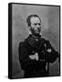 Portrait of William Tecumseh Sherman, Union General During the Civil War-null-Framed Stretched Canvas