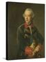 Portrait of William V, Prince of Orange-Nassau-Johann Georg Ziesenis-Stretched Canvas