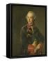 Portrait of William V, Prince of Orange-Nassau-Johann Georg Ziesenis-Framed Stretched Canvas