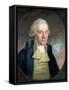 Portrait of William Wilberforce (1759-1833), 1794-Anton Hickel-Framed Stretched Canvas