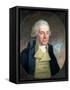 Portrait of William Wilberforce (1759-1833), 1794-Anton Hickel-Framed Stretched Canvas