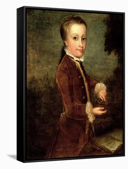 Portrait of Wolfgang Amadeus Mozart (1756-91) Aged Eight, Holding a Bird's Nest, 1764-65-Johann Zoffany-Framed Stretched Canvas