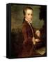 Portrait of Wolfgang Amadeus Mozart (1756-91) Aged Eight, Holding a Bird's Nest, 1764-65-Johann Zoffany-Framed Stretched Canvas