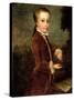 Portrait of Wolfgang Amadeus Mozart (1756-91) Aged Eight, Holding a Bird's Nest, 1764-65-Johann Zoffany-Stretched Canvas