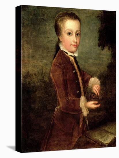 Portrait of Wolfgang Amadeus Mozart (1756-91) Aged Eight, Holding a Bird's Nest, 1764-65-Johann Zoffany-Stretched Canvas