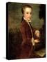 Portrait of Wolfgang Amadeus Mozart (1756-91) Aged Eight, Holding a Bird's Nest, 1764-65-Johann Zoffany-Stretched Canvas