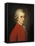 Portrait of Wolfgang Amadeus Mozart by Barbara Krafft-null-Framed Stretched Canvas