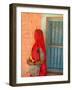 Portrait of Woman in Red Sari Against School Wall, Jodhpur, Rajasthan, India-Bill Bachmann-Framed Photographic Print