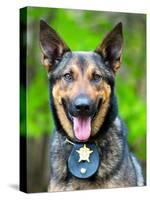 Portrait of Working Police Dog-Rob Hainer-Stretched Canvas