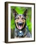 Portrait of Working Police Dog-Rob Hainer-Framed Photographic Print