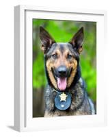 Portrait of Working Police Dog-Rob Hainer-Framed Photographic Print