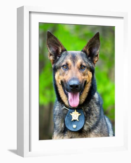 Portrait of Working Police Dog-Rob Hainer-Framed Photographic Print
