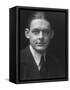 Portrait of Writer T. S. Eliot, 1888-1965-Emil Otto Hoppé-Framed Stretched Canvas