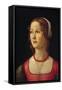 Portrait of Young Girl by Domenico Ghirlandaio-null-Framed Stretched Canvas