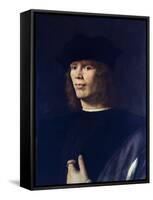 Portrait of Young Man, by Andrea Solario (Ca 1465-1524)-null-Framed Stretched Canvas