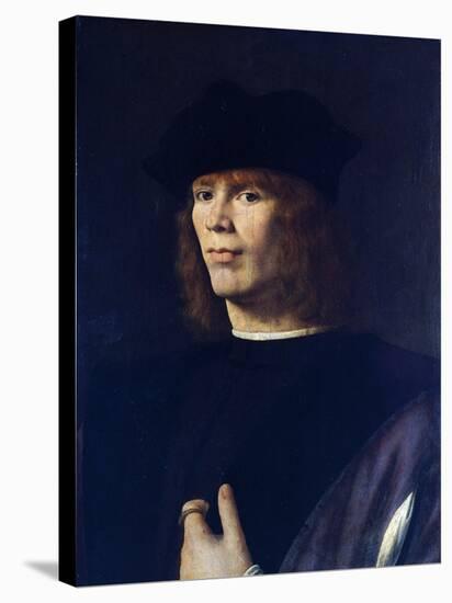 Portrait of Young Man, by Andrea Solario (Ca 1465-1524)-null-Stretched Canvas