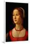 Portrait of Young Woman, 1485-Domenico Ghirlandaio-Framed Giclee Print